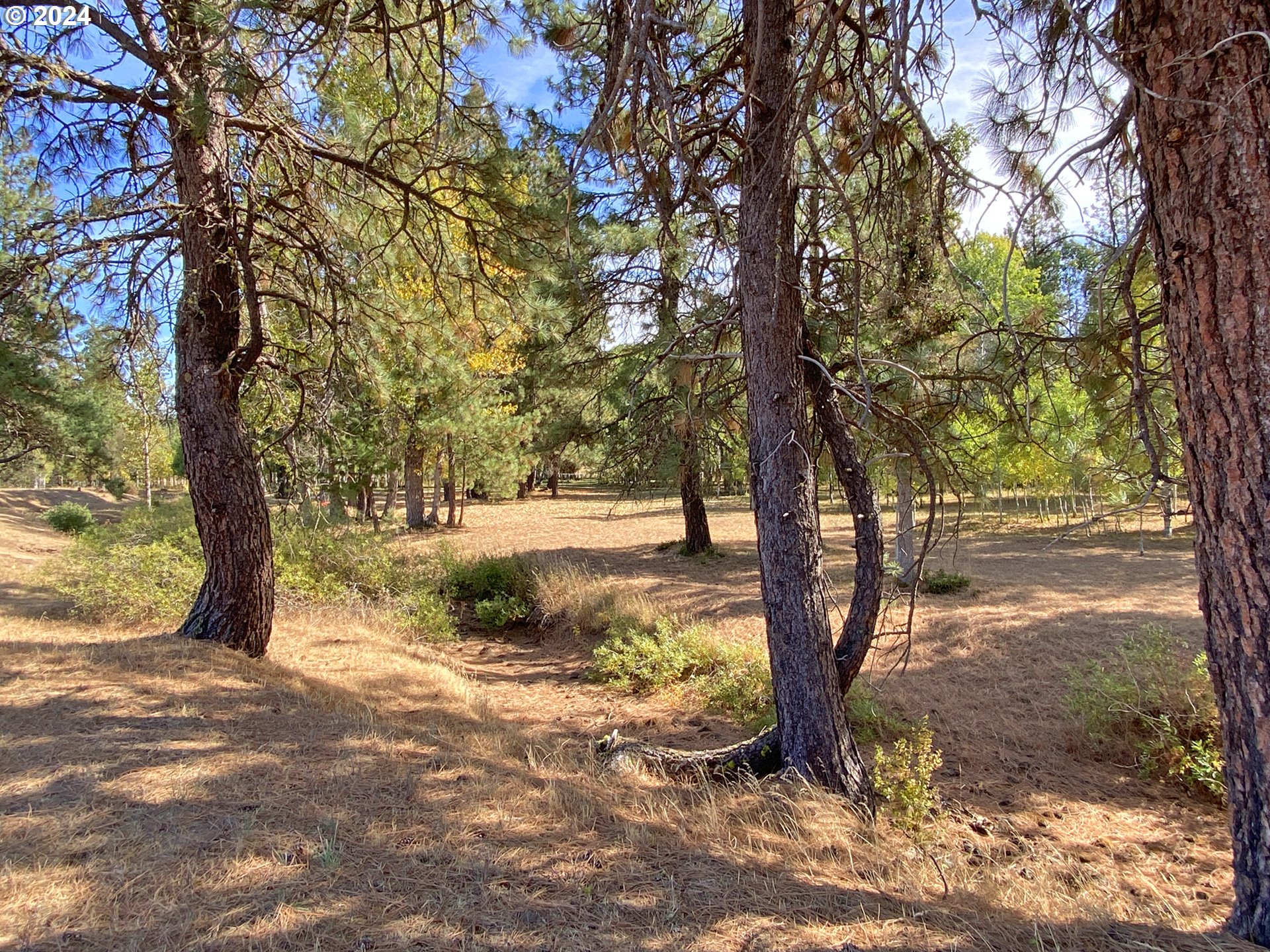19 Elk View DR