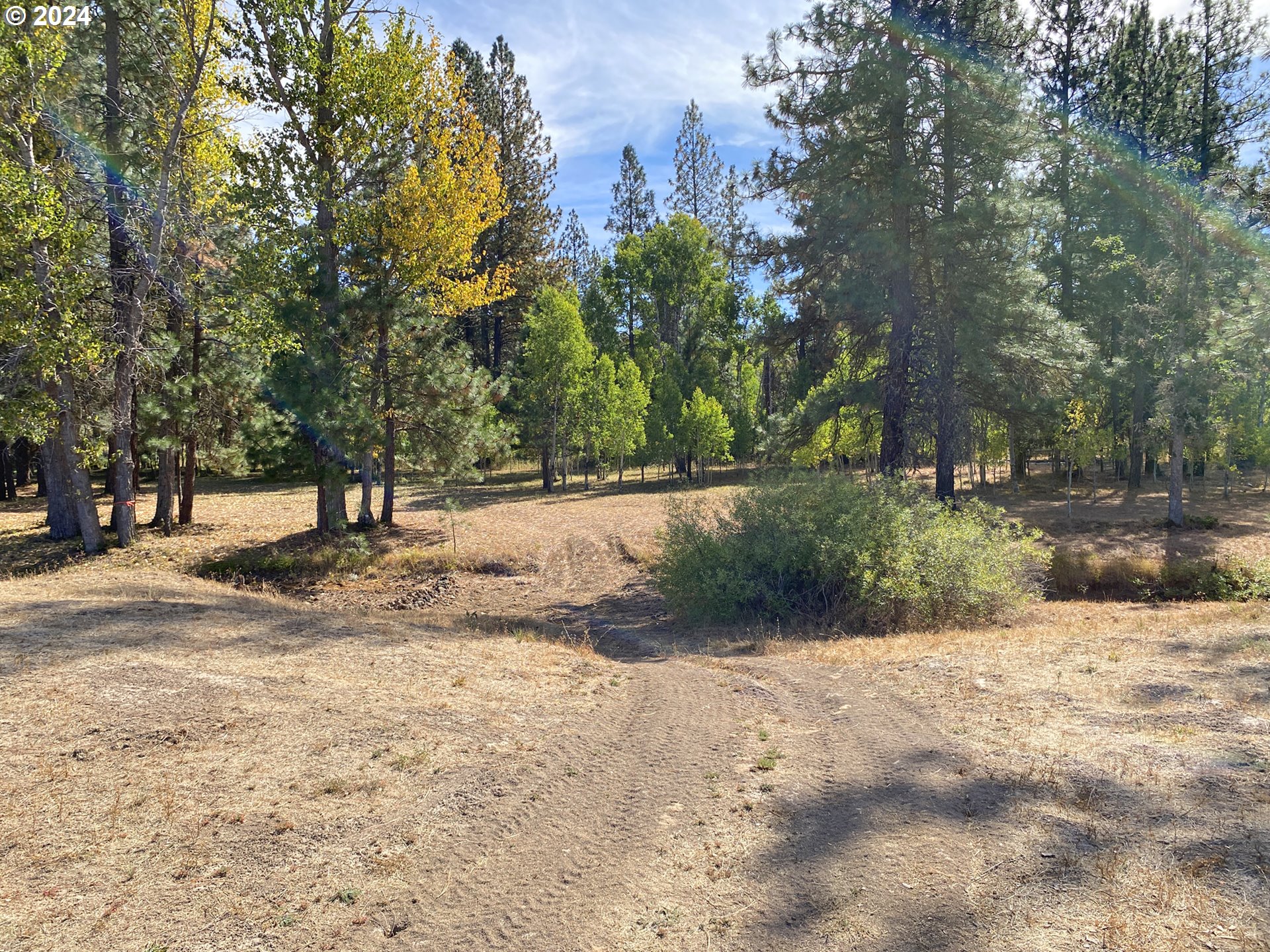 19 Elk View DR