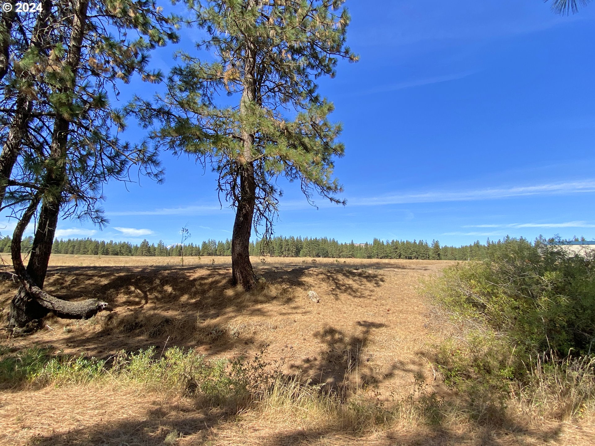 19 Elk View DR