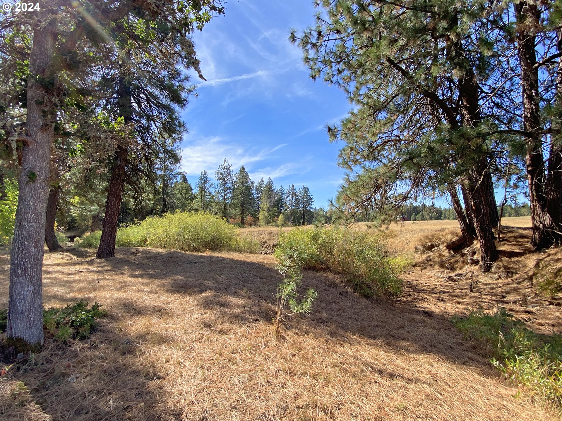 19 Elk View DR