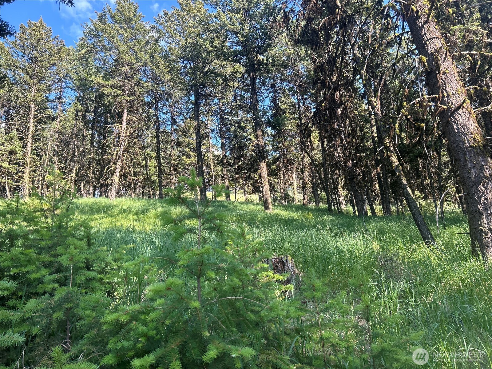 0 TBD Janet Marie Road