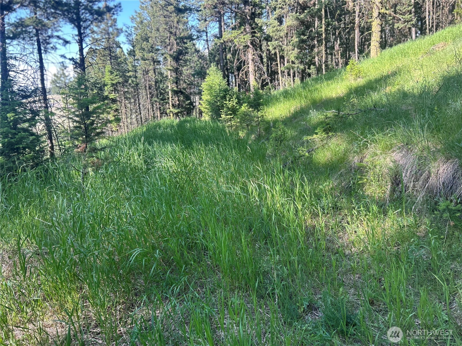 0 TBD Janet Marie Road