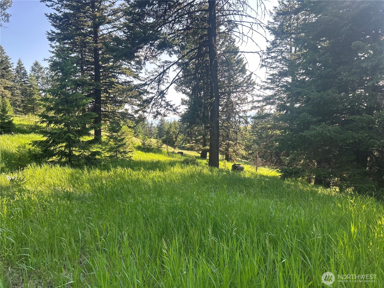 0 TBD Janet Marie Road