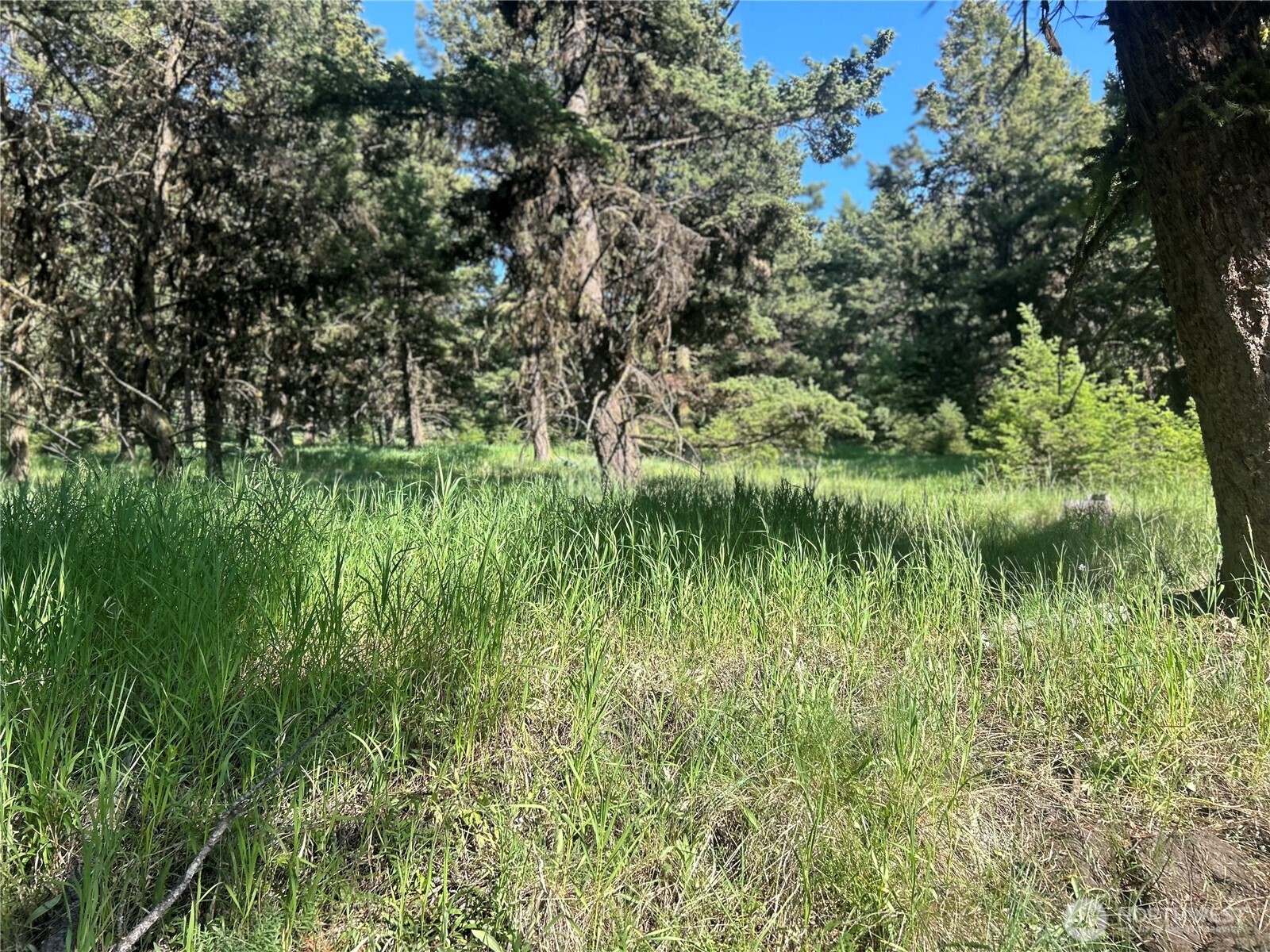 0 TBD Janet Marie Road