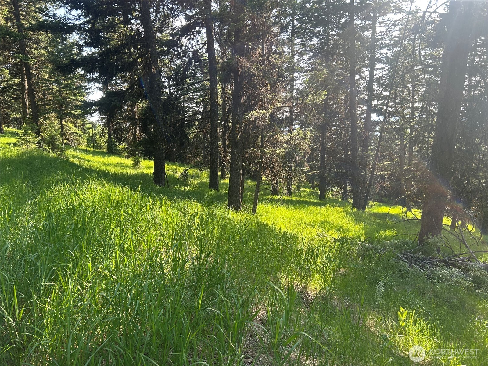 0 TBD Janet Marie Road