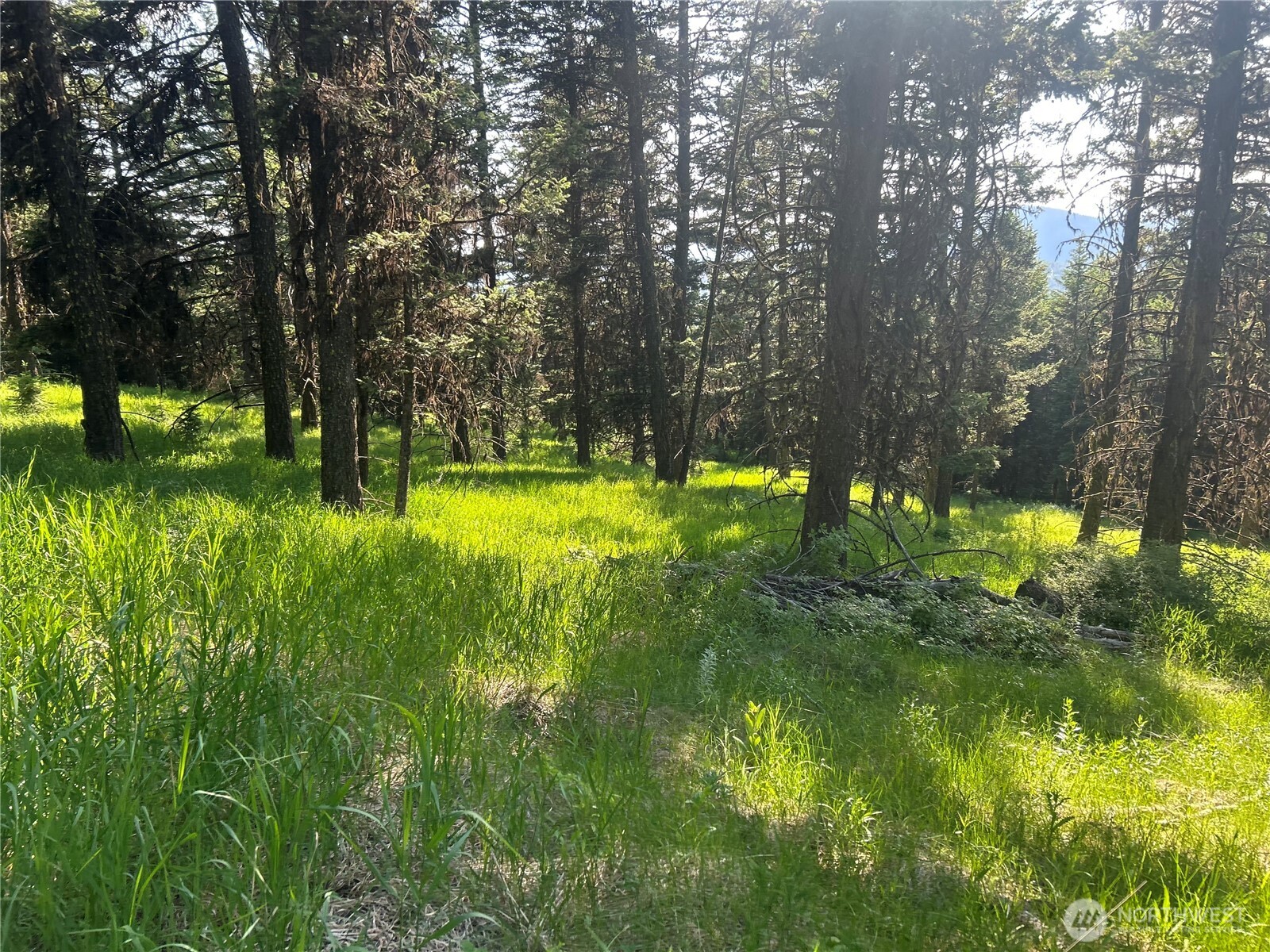 0 TBD Janet Marie Road