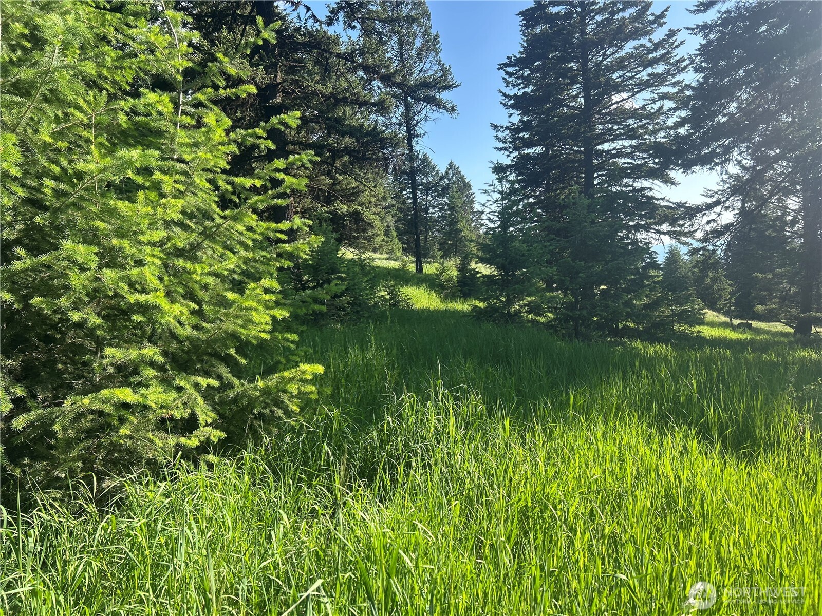 0 TBD Janet Marie Road