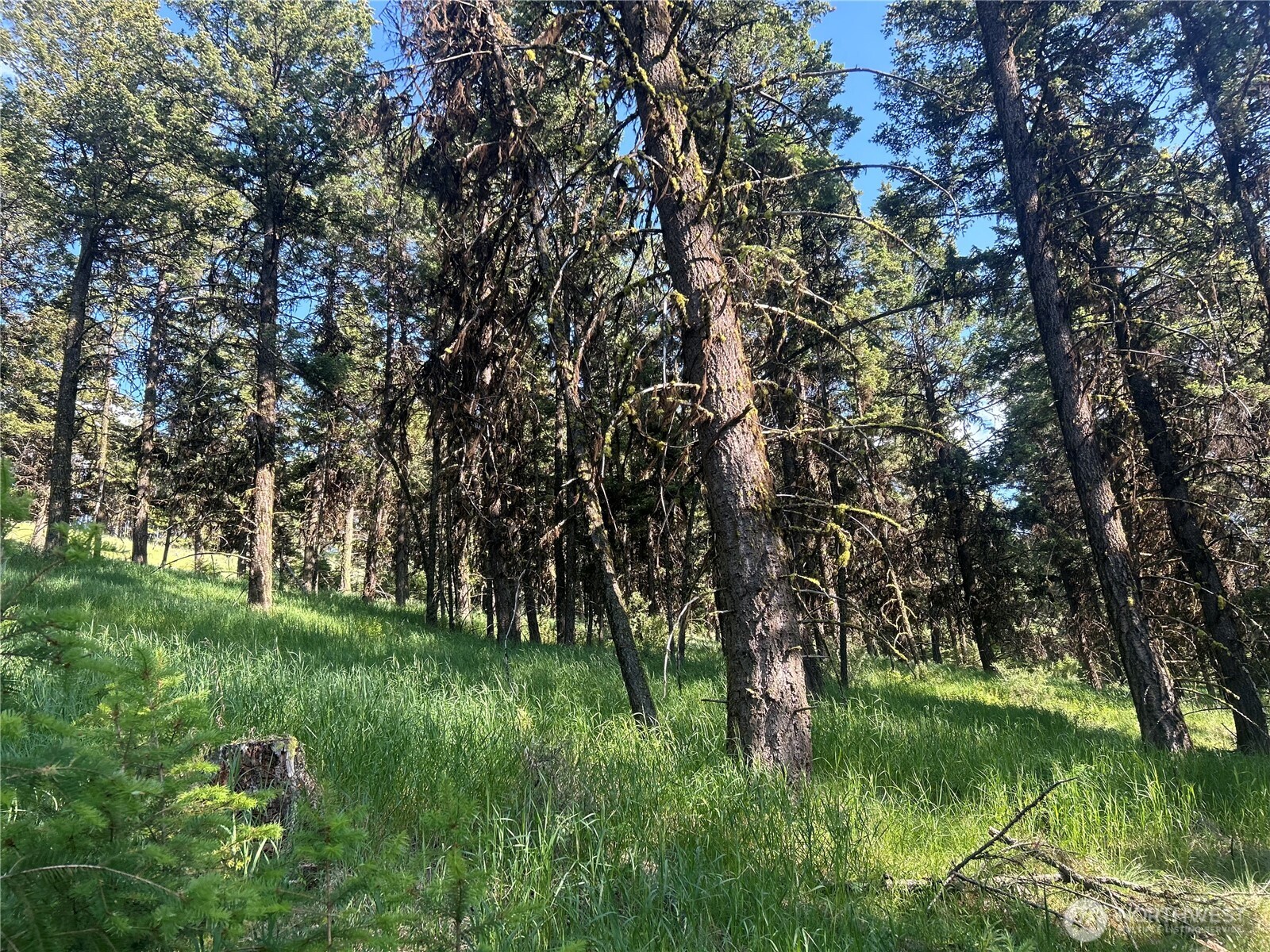 0 TBD Janet Marie Road