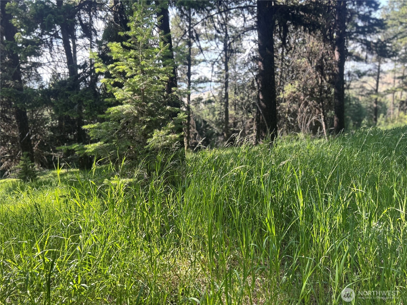 0 TBD Janet Marie Road