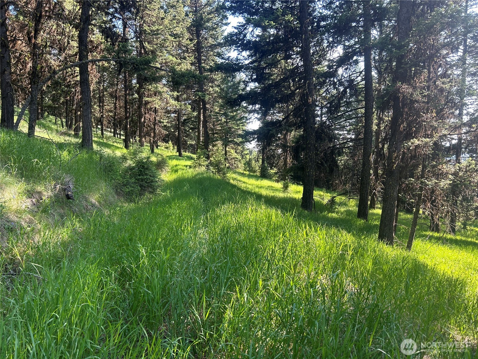 0 TBD Janet Marie Road