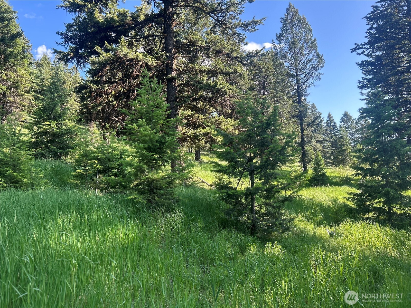 0 TBD Janet Marie Road