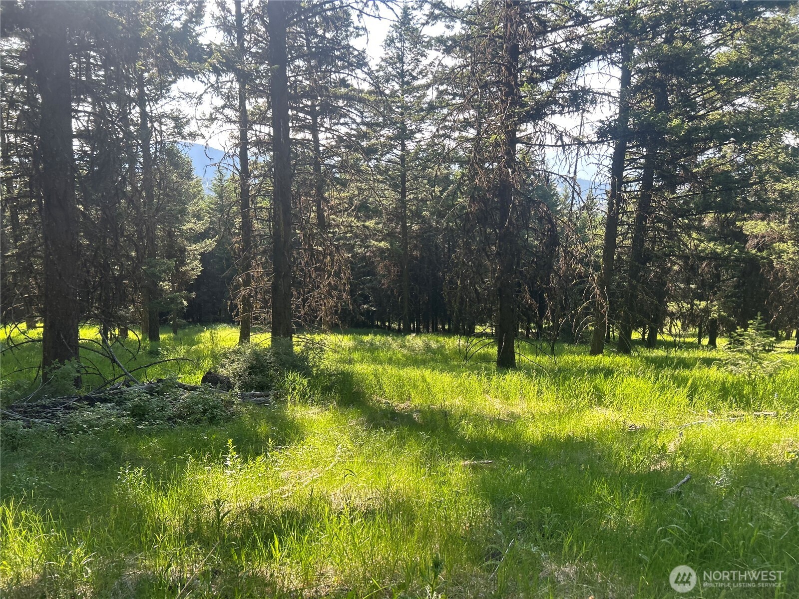 0 TBD Janet Marie Road