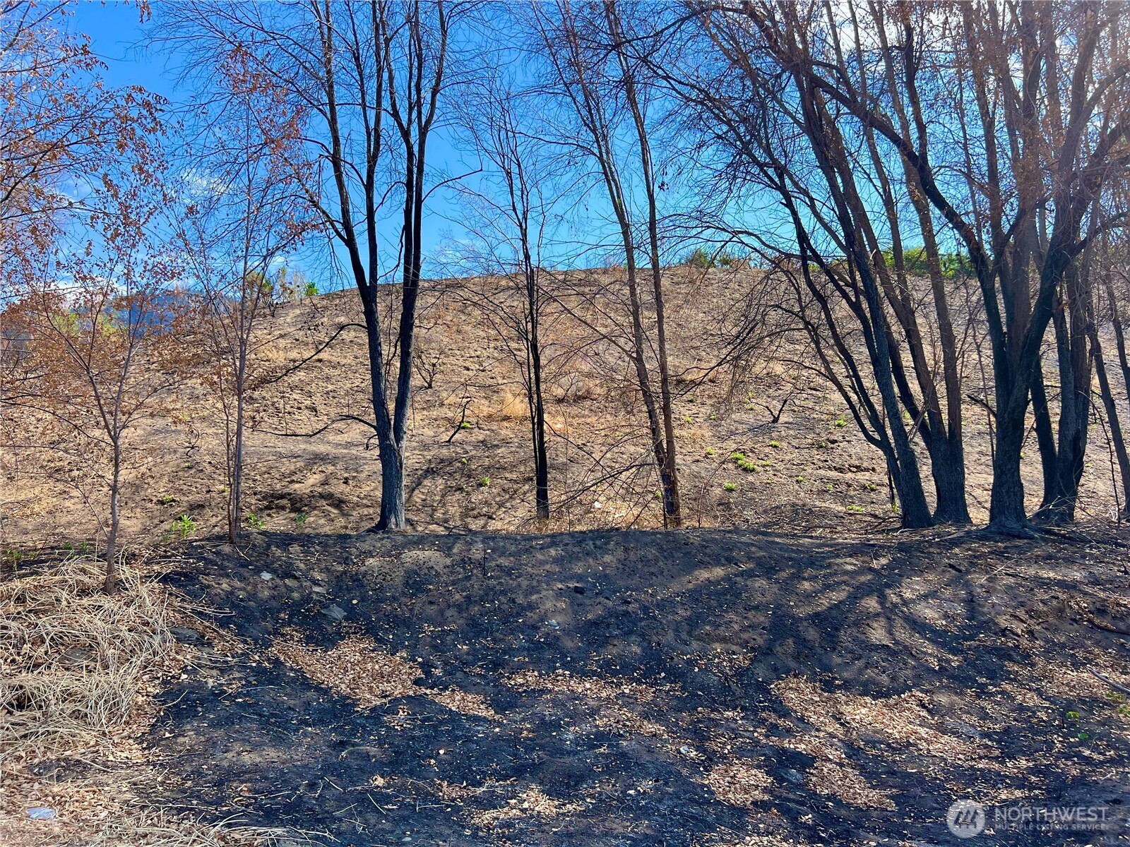 32600 TBD Highway 97