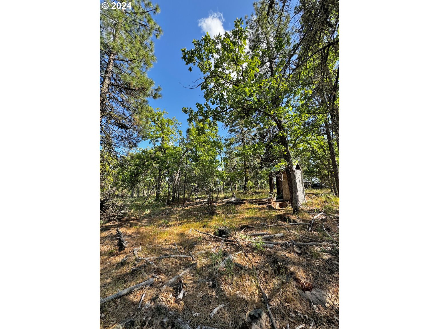 54 W Ponderosa DR