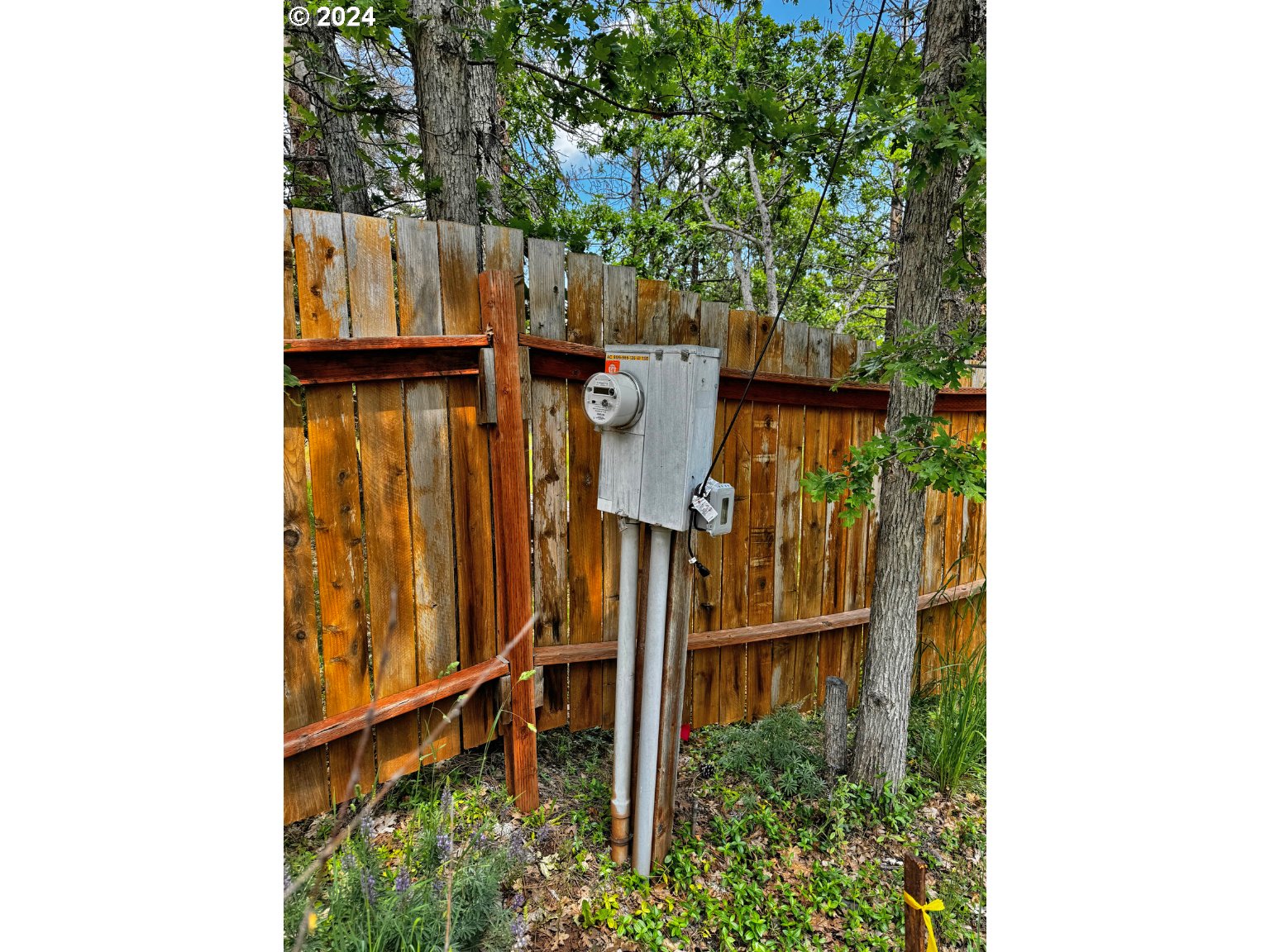 54 W Ponderosa DR