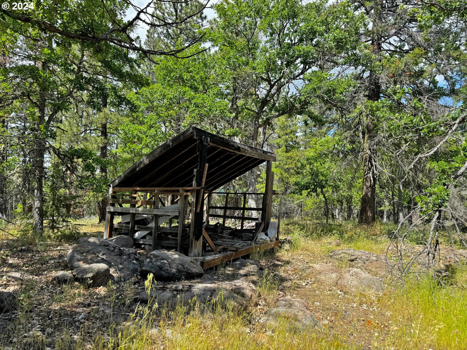 54 W Ponderosa DR