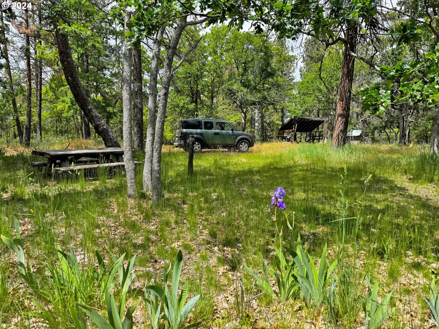 54 W Ponderosa DR
