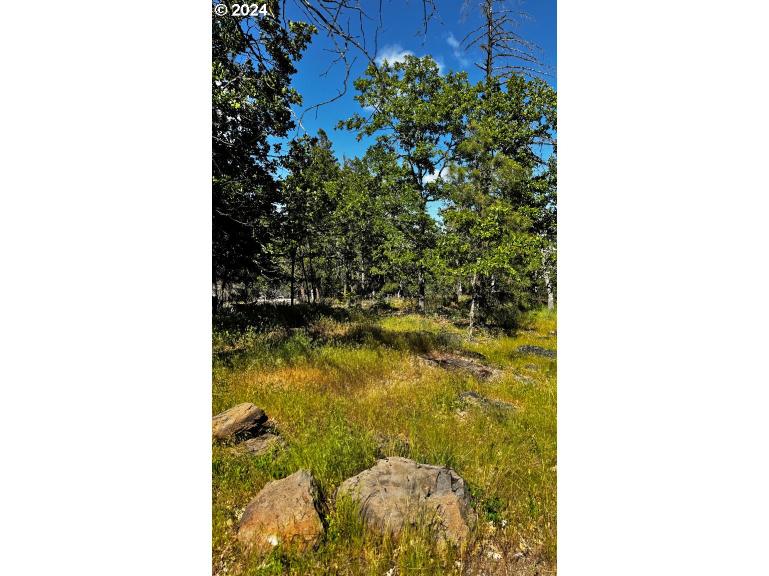 54 W Ponderosa DR