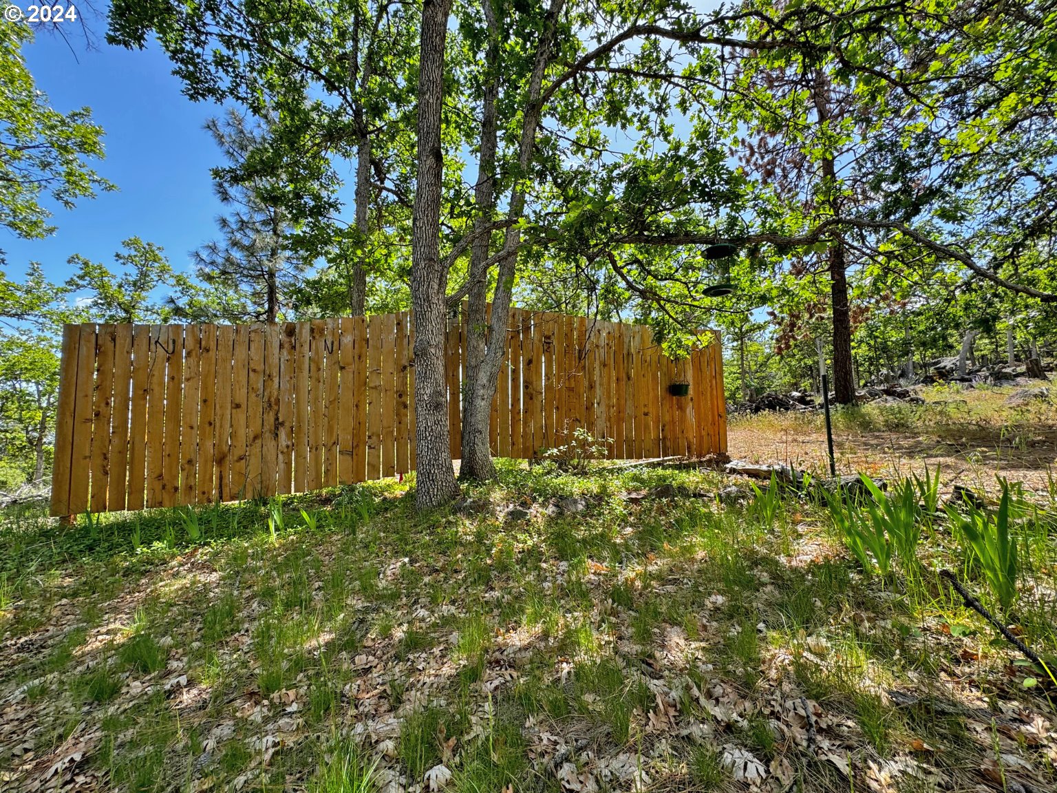 54 W Ponderosa DR