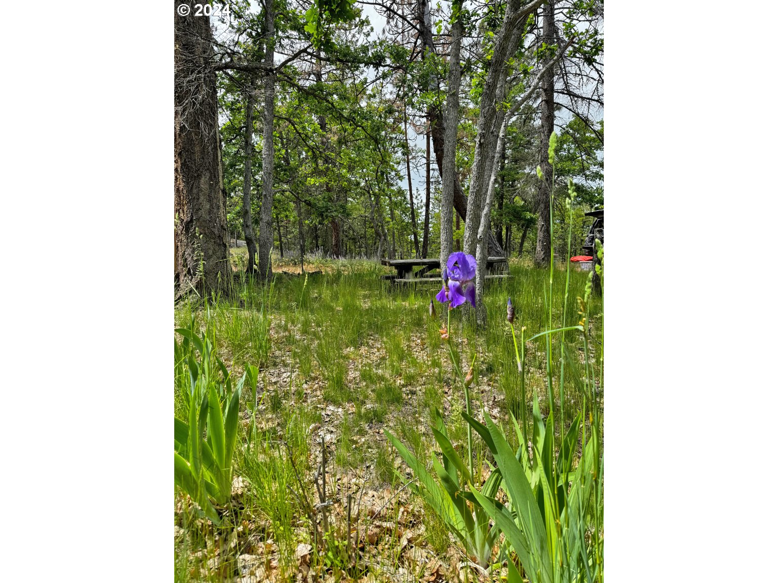 54 W Ponderosa DR