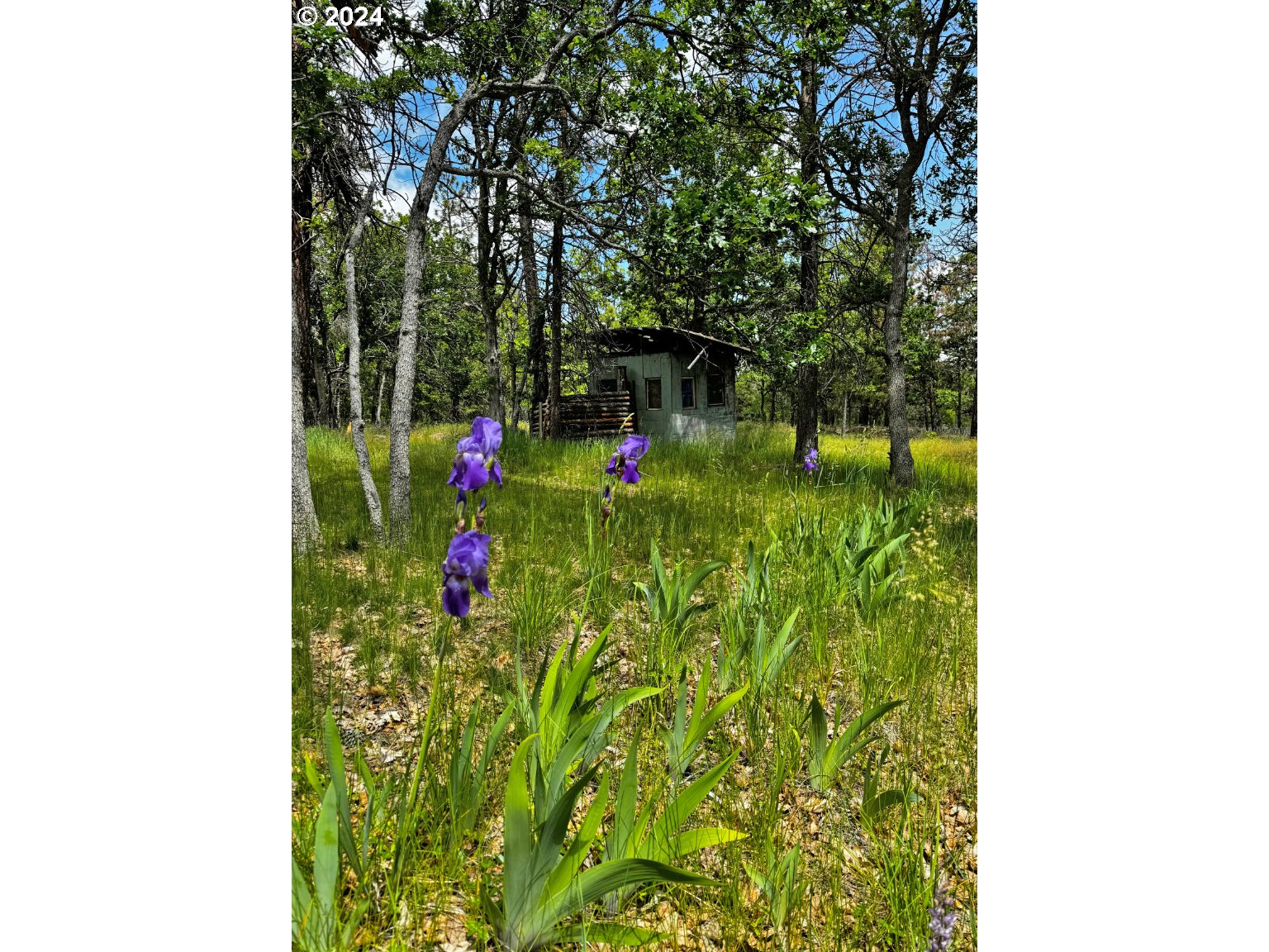 54 W Ponderosa DR