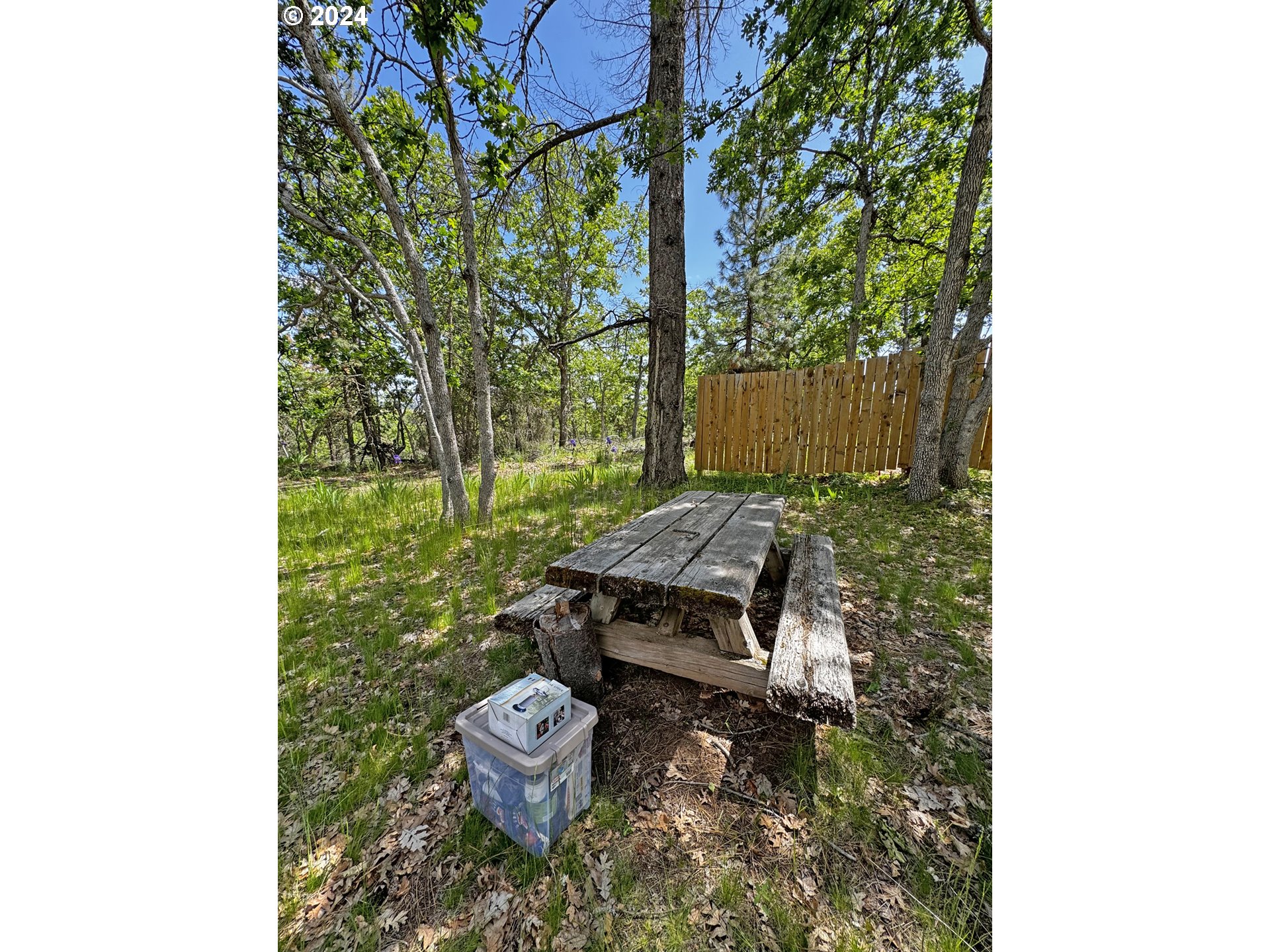 54 W Ponderosa DR