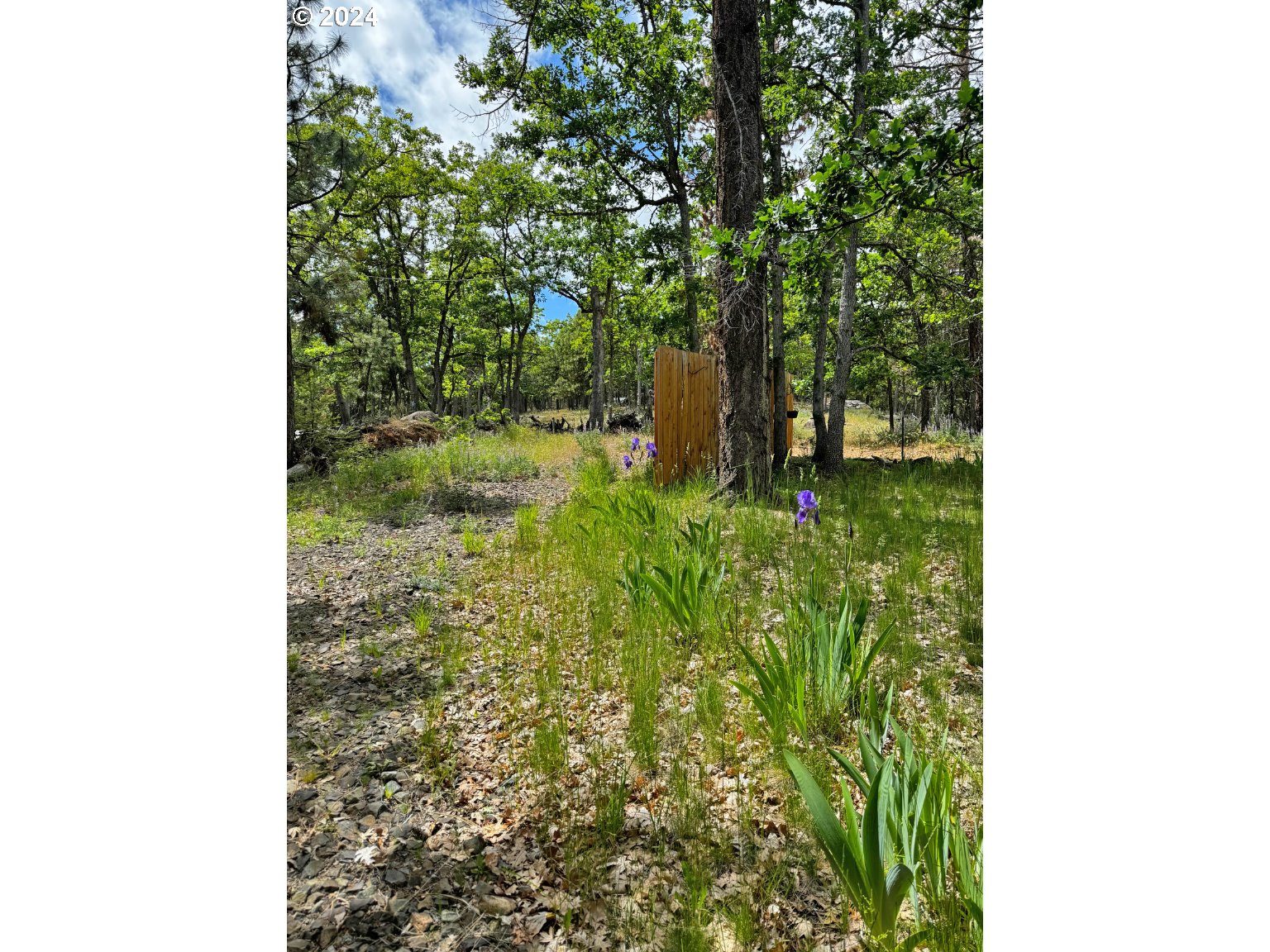 54 W Ponderosa DR