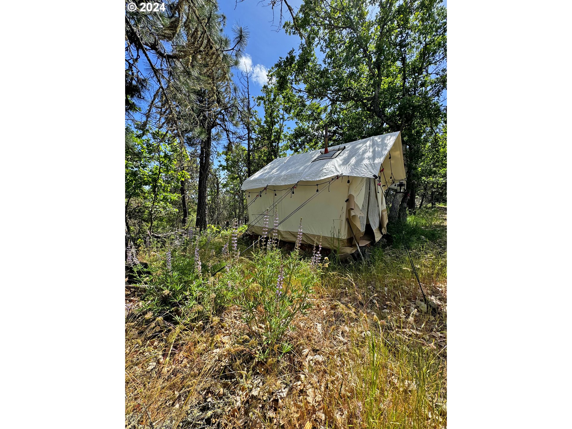 54 W Ponderosa DR