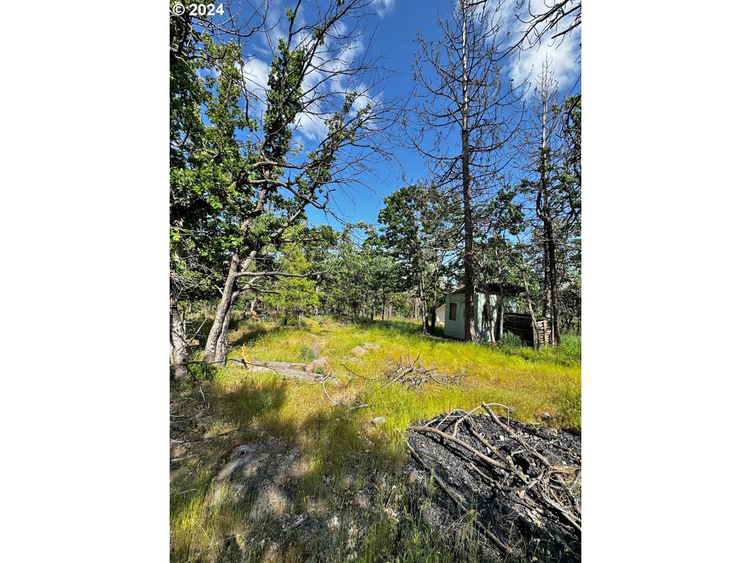 54 W Ponderosa DR