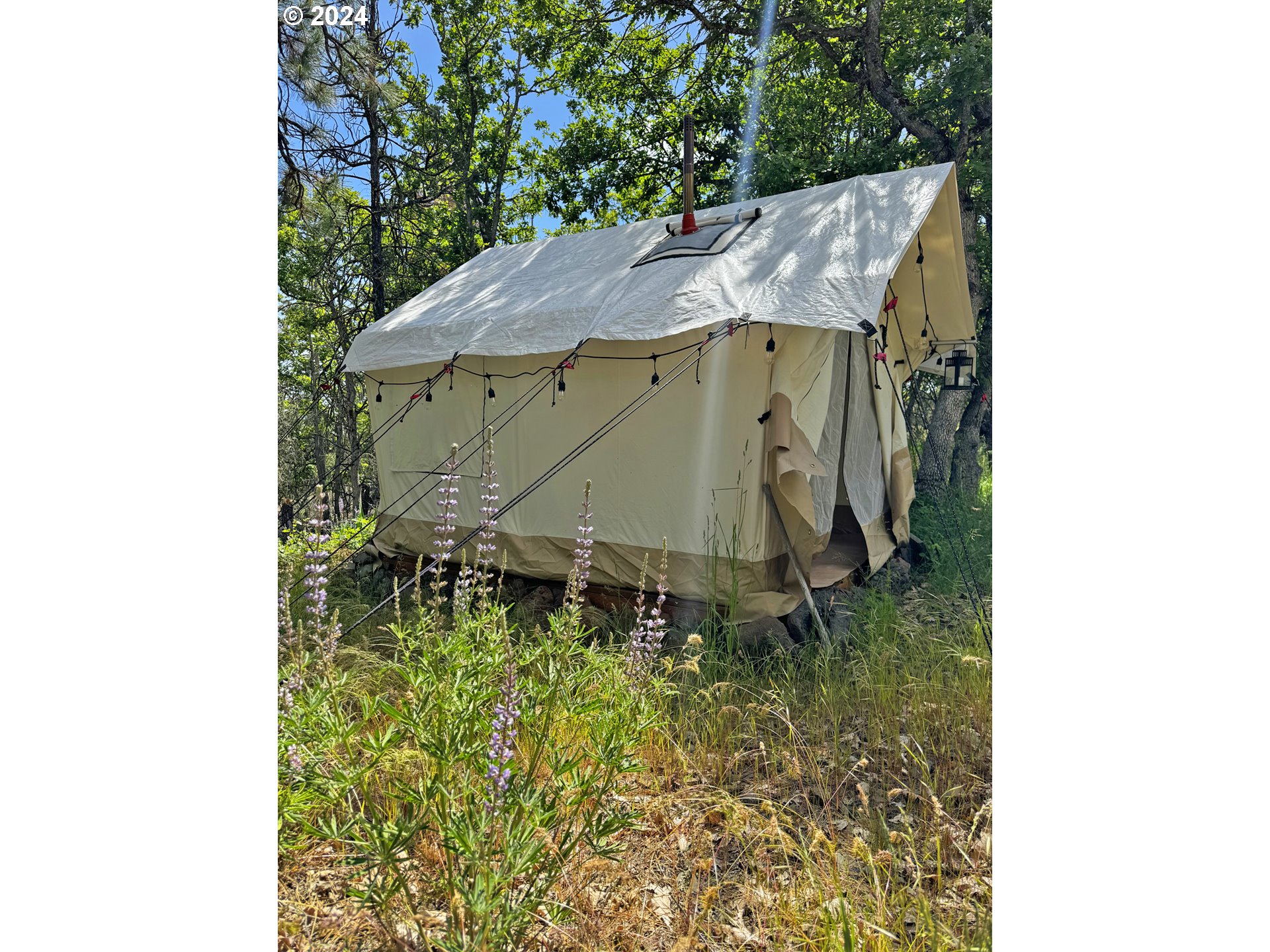 54 W Ponderosa DR