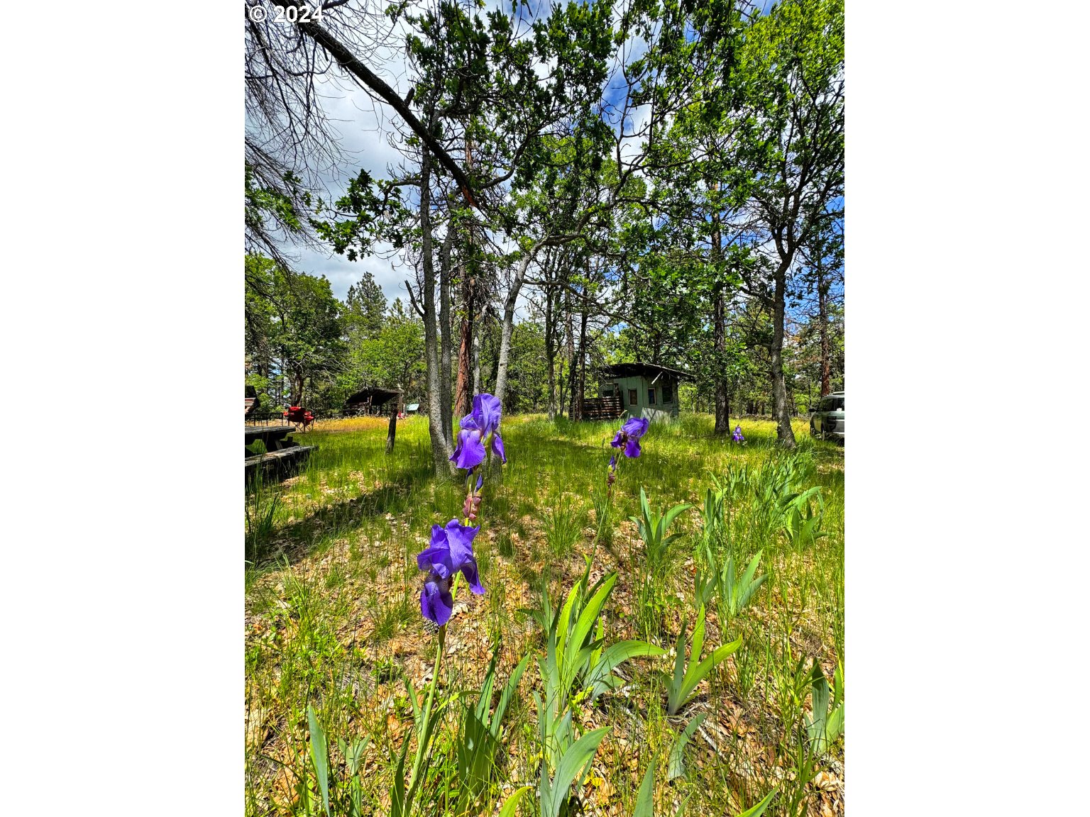 54 W Ponderosa DR