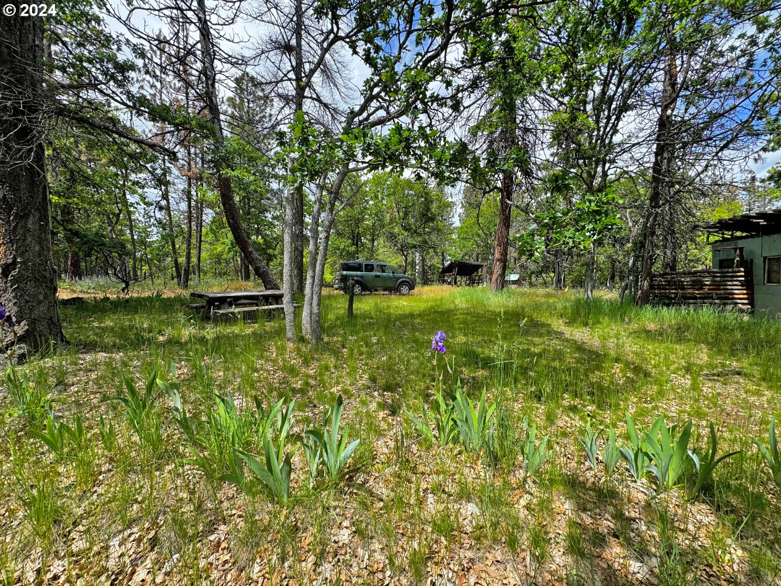 54 W Ponderosa DR