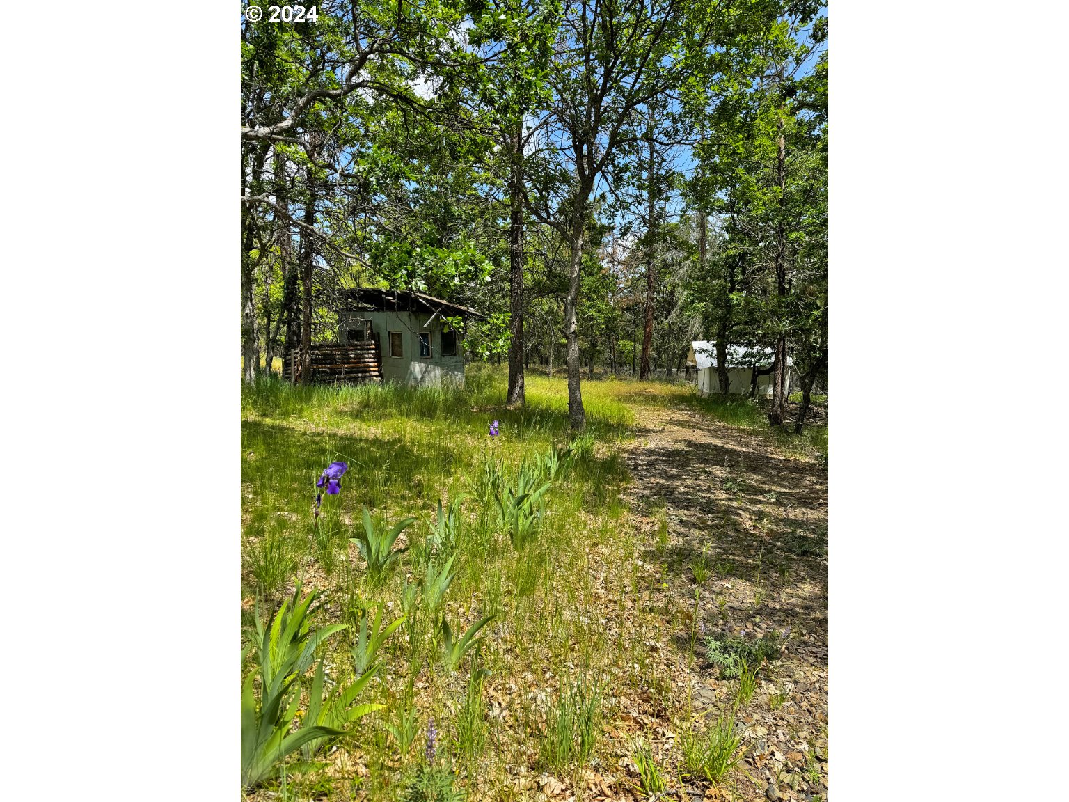 54 W Ponderosa DR