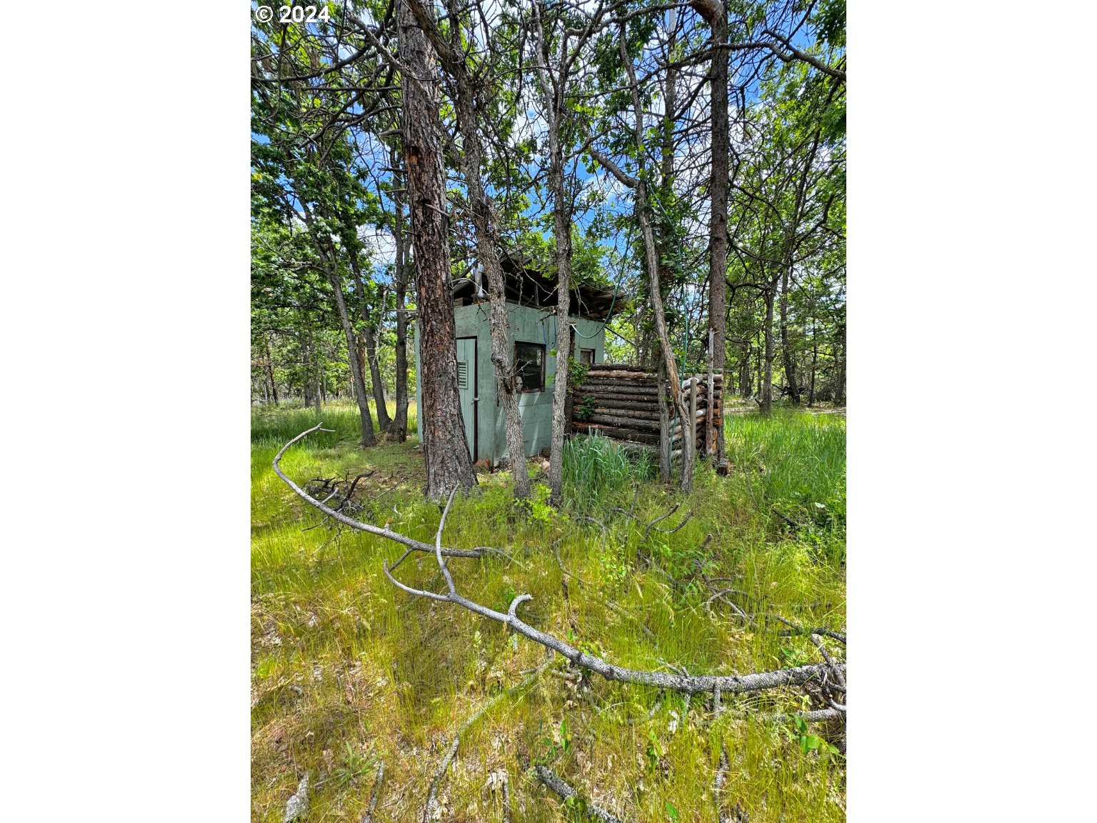 54 W Ponderosa DR