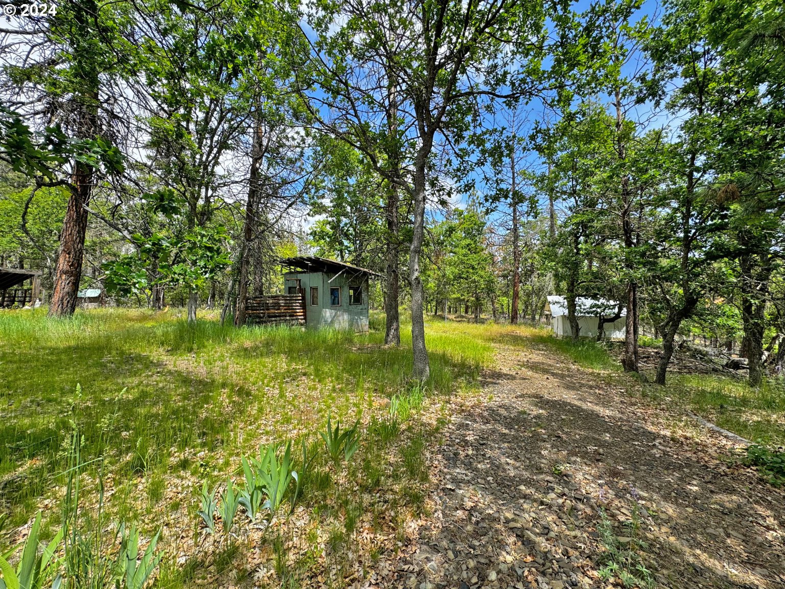 54 W Ponderosa DR