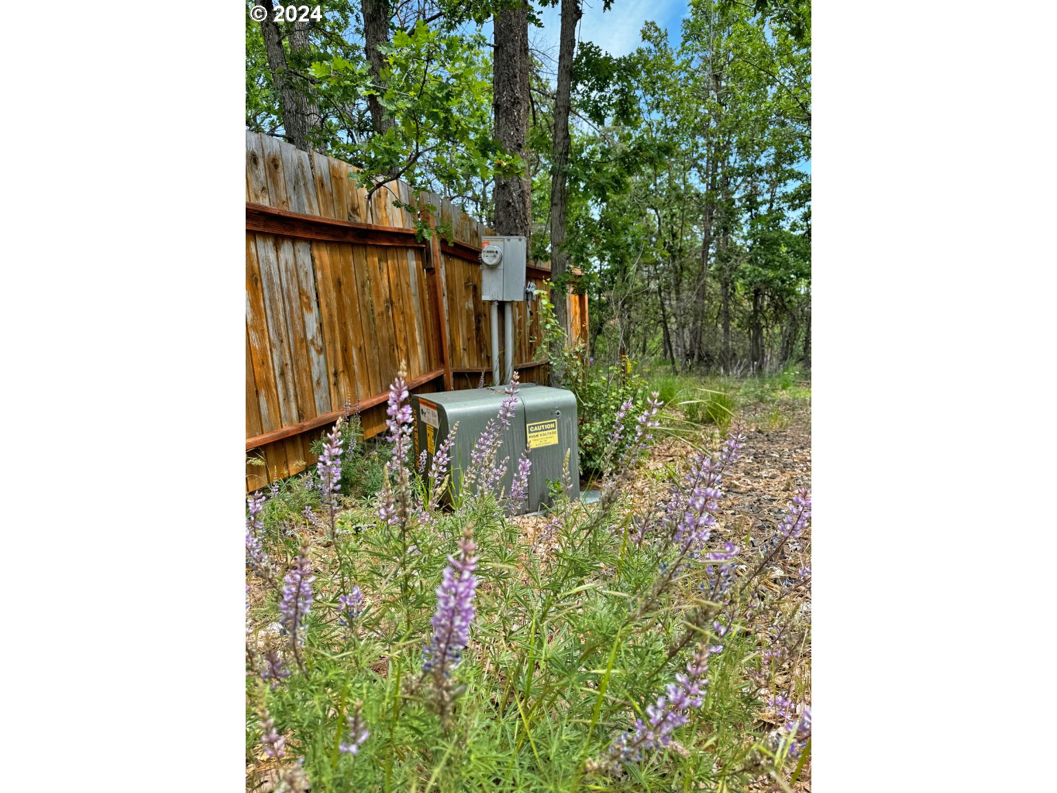 54 W Ponderosa DR