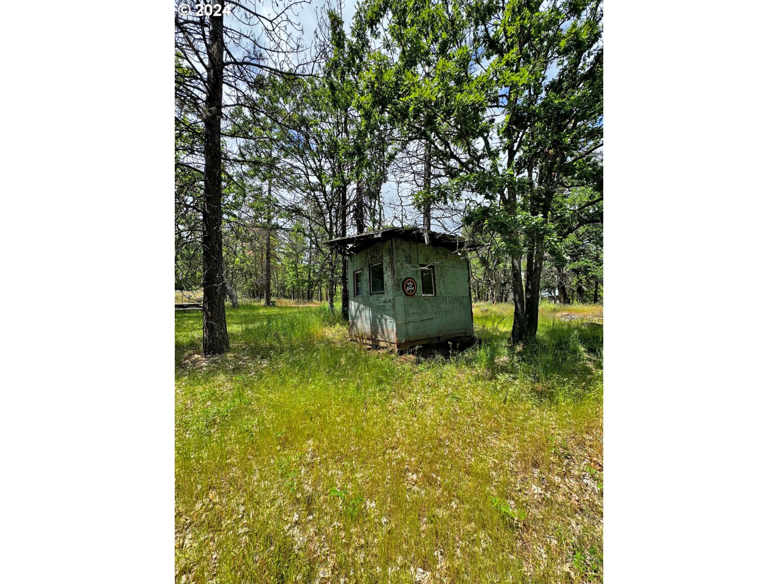 54 W Ponderosa DR