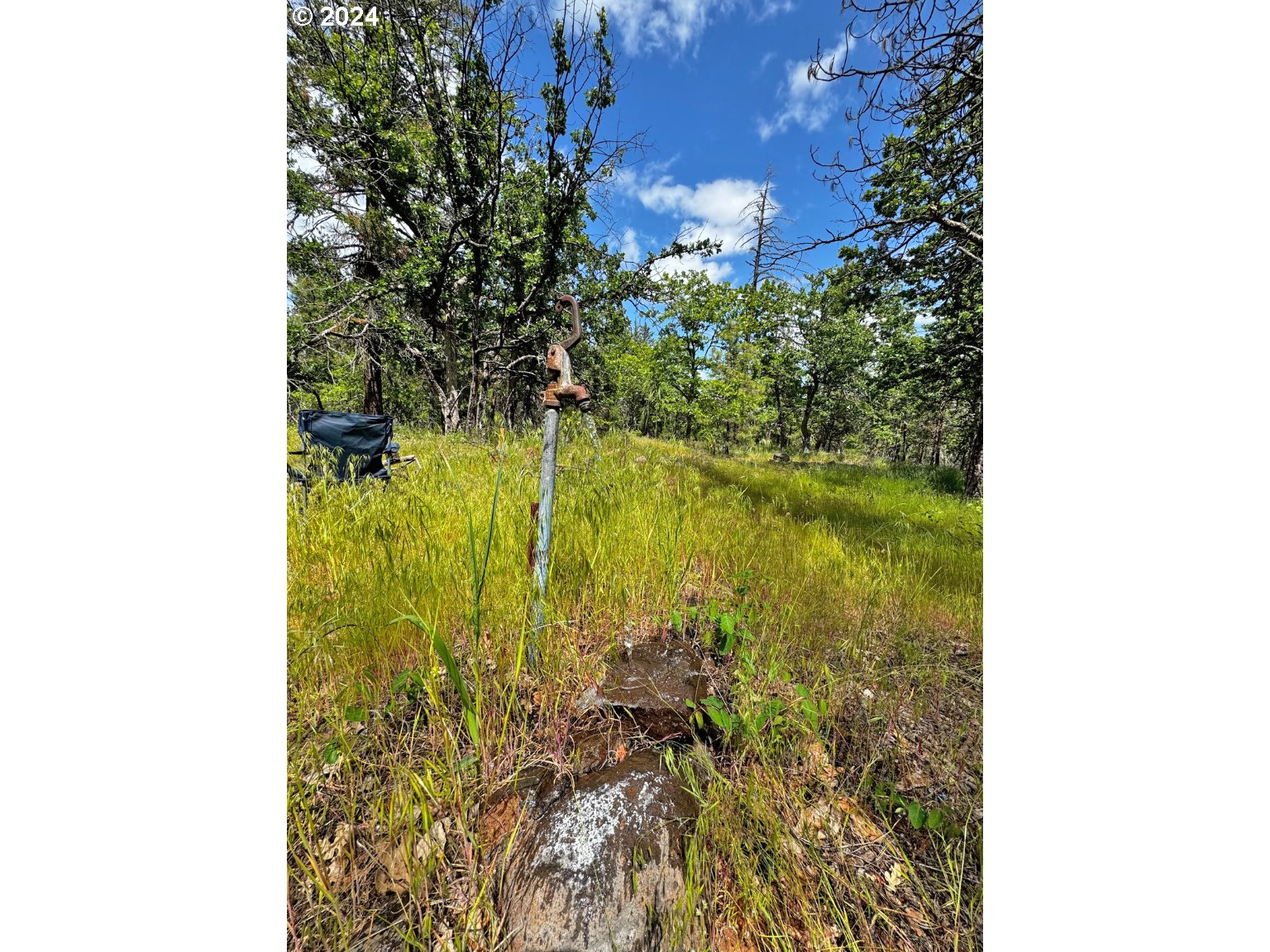 54 W Ponderosa DR