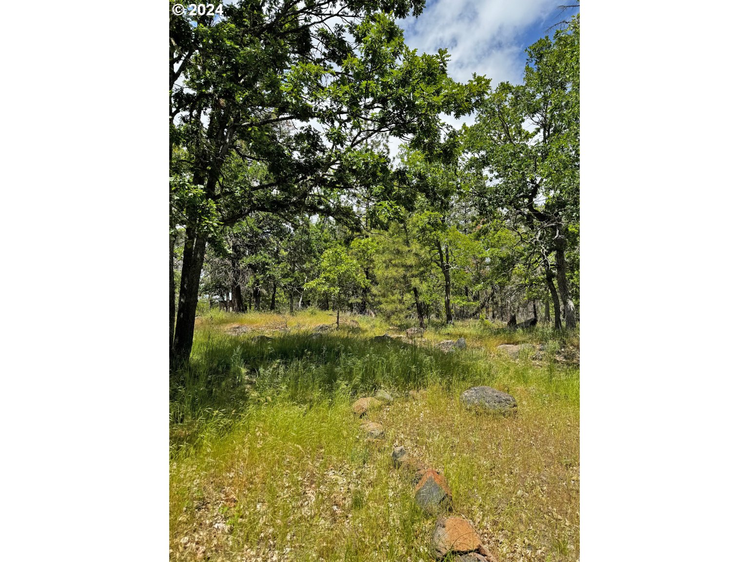 54 W Ponderosa DR