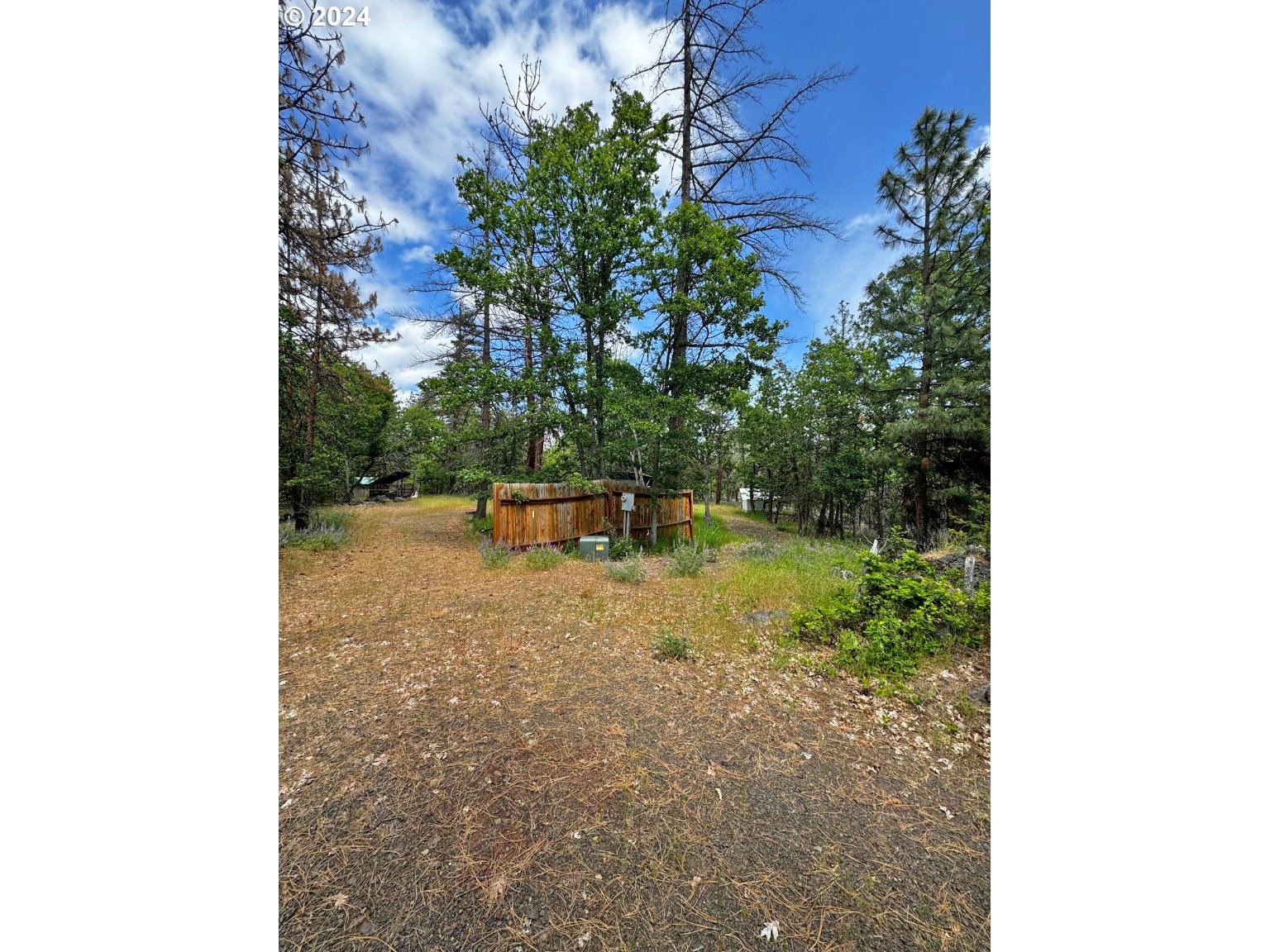 54 W Ponderosa DR