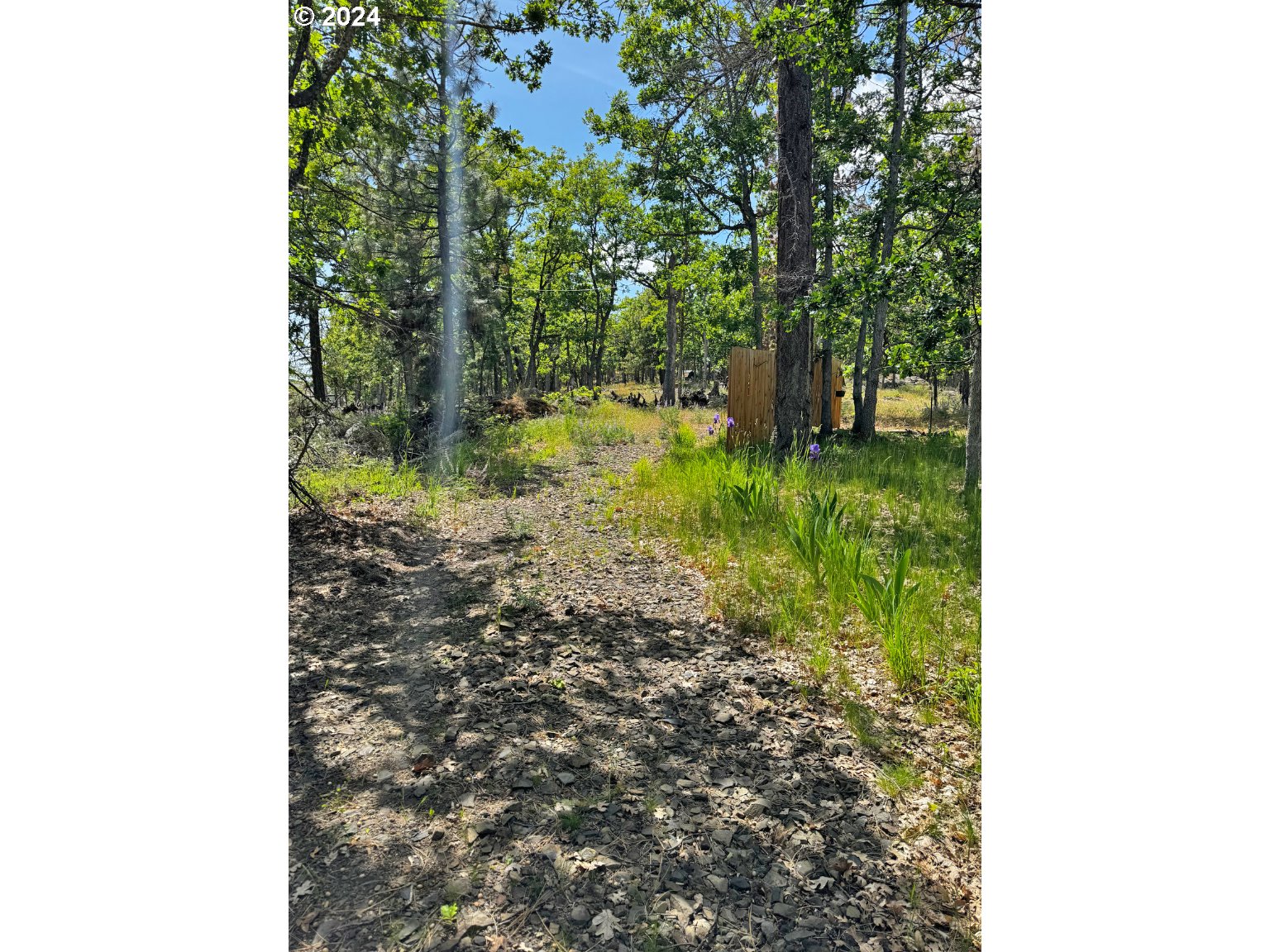 54 W Ponderosa DR