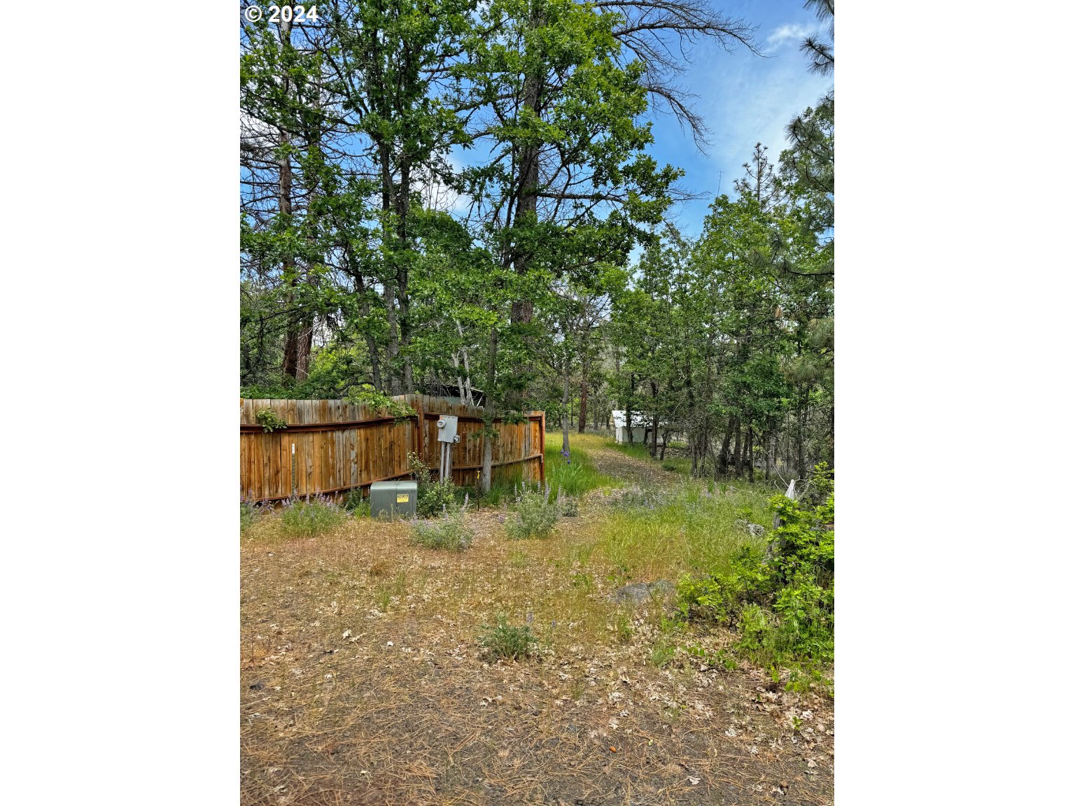 54 W Ponderosa DR