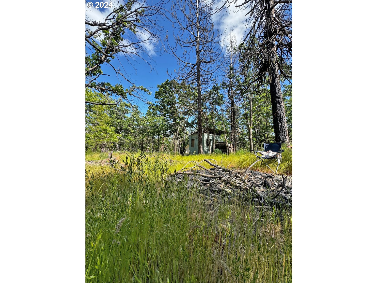 54 W Ponderosa DR