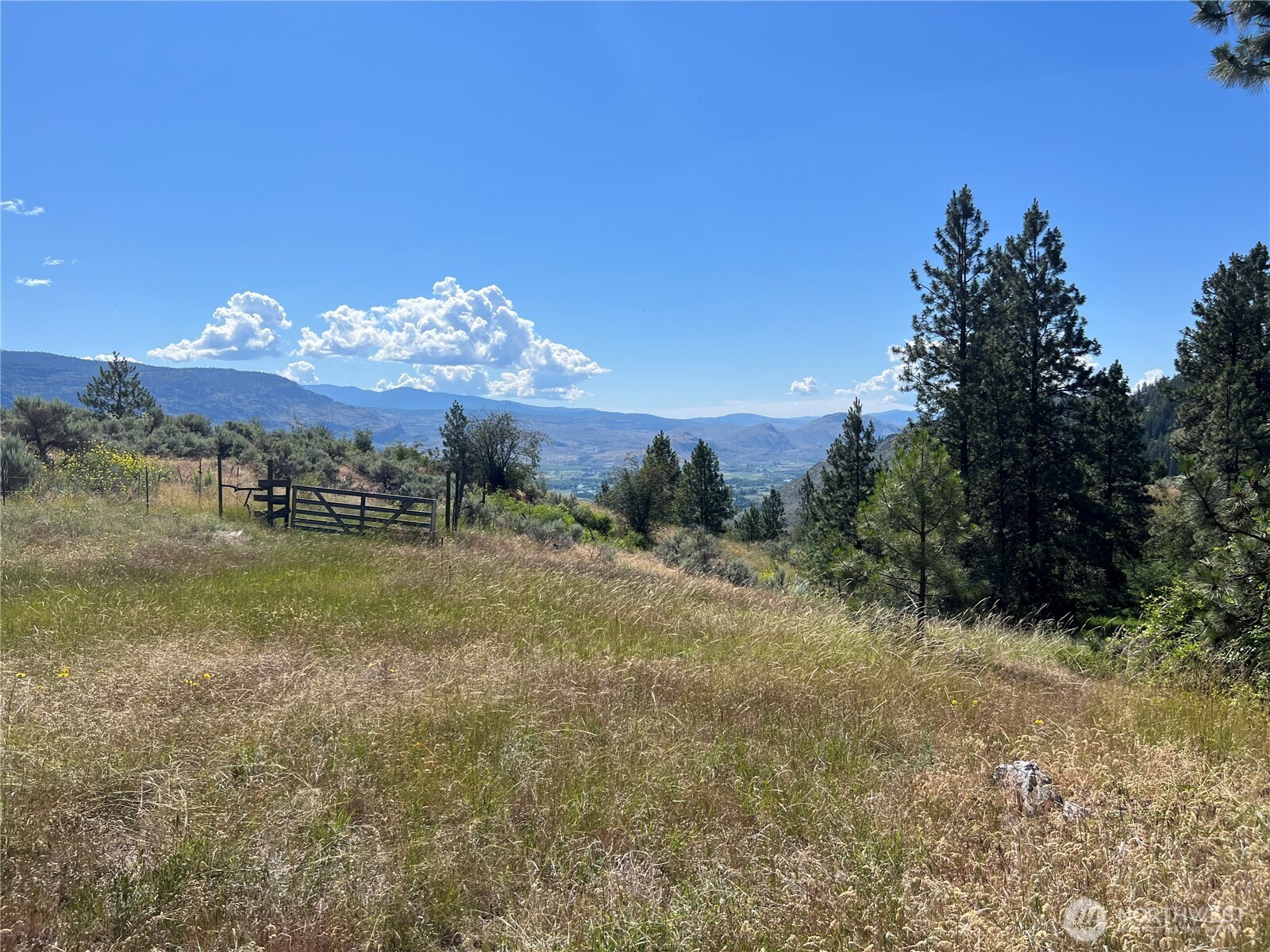 113 Eagles Bluff Road