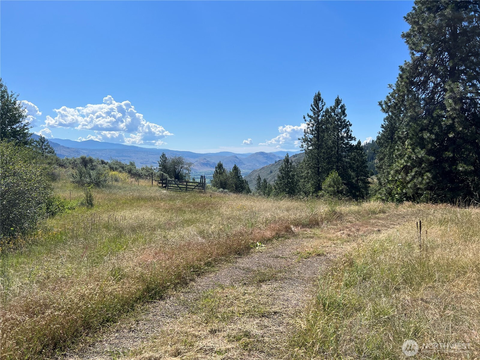 113 Eagles Bluff Road