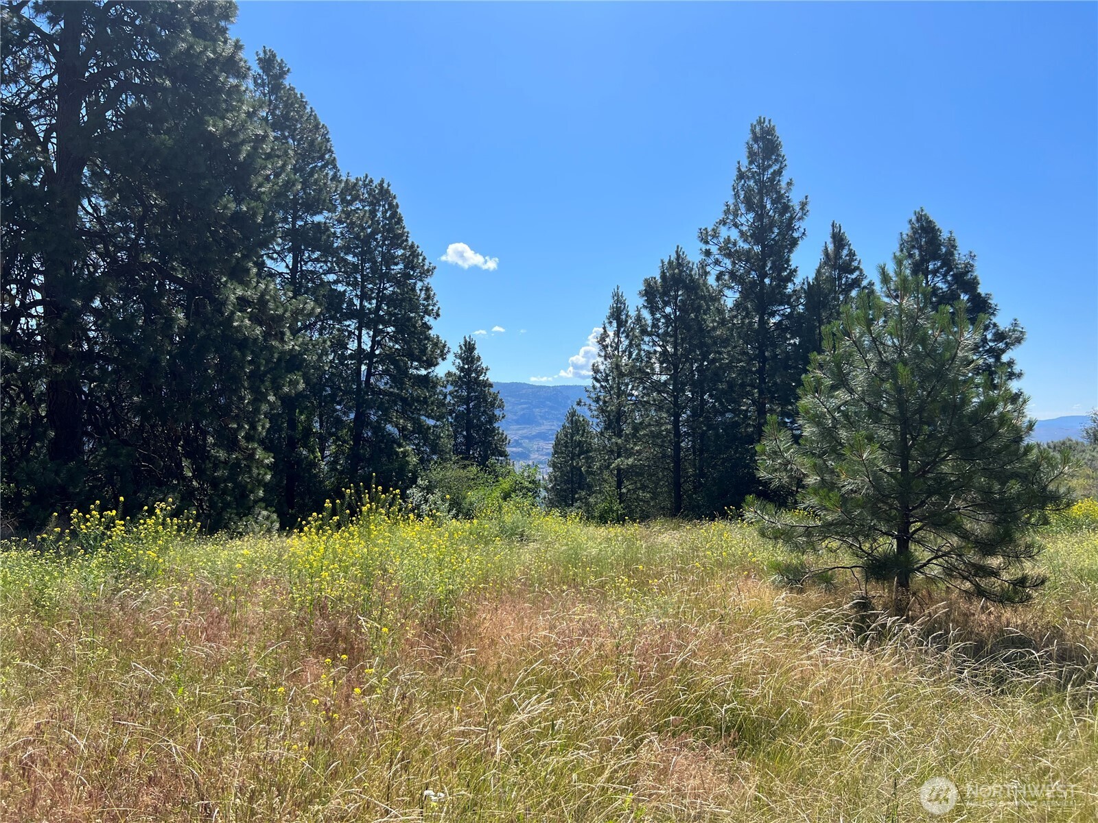 113 Eagles Bluff Road