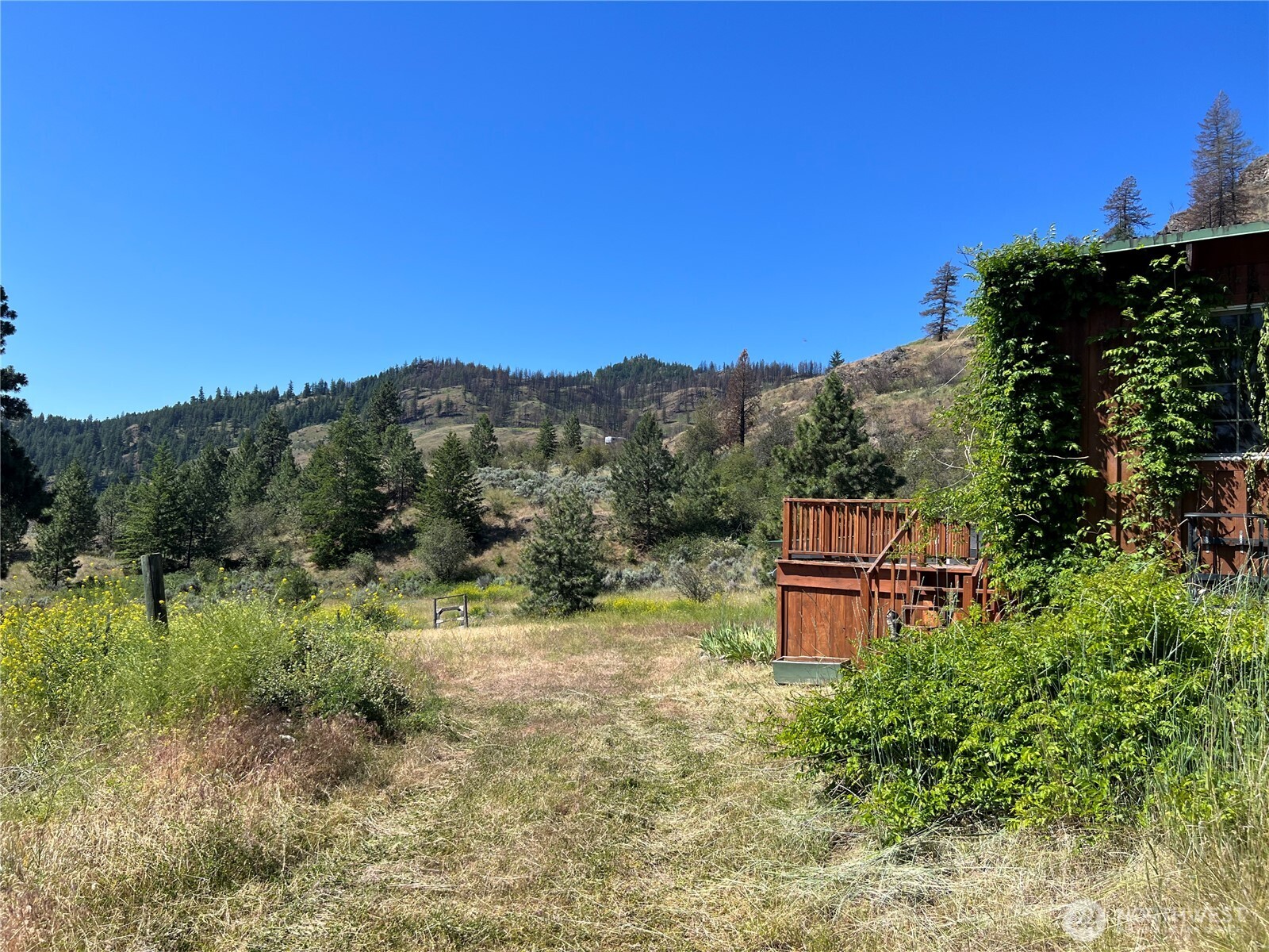 113 Eagles Bluff Road
