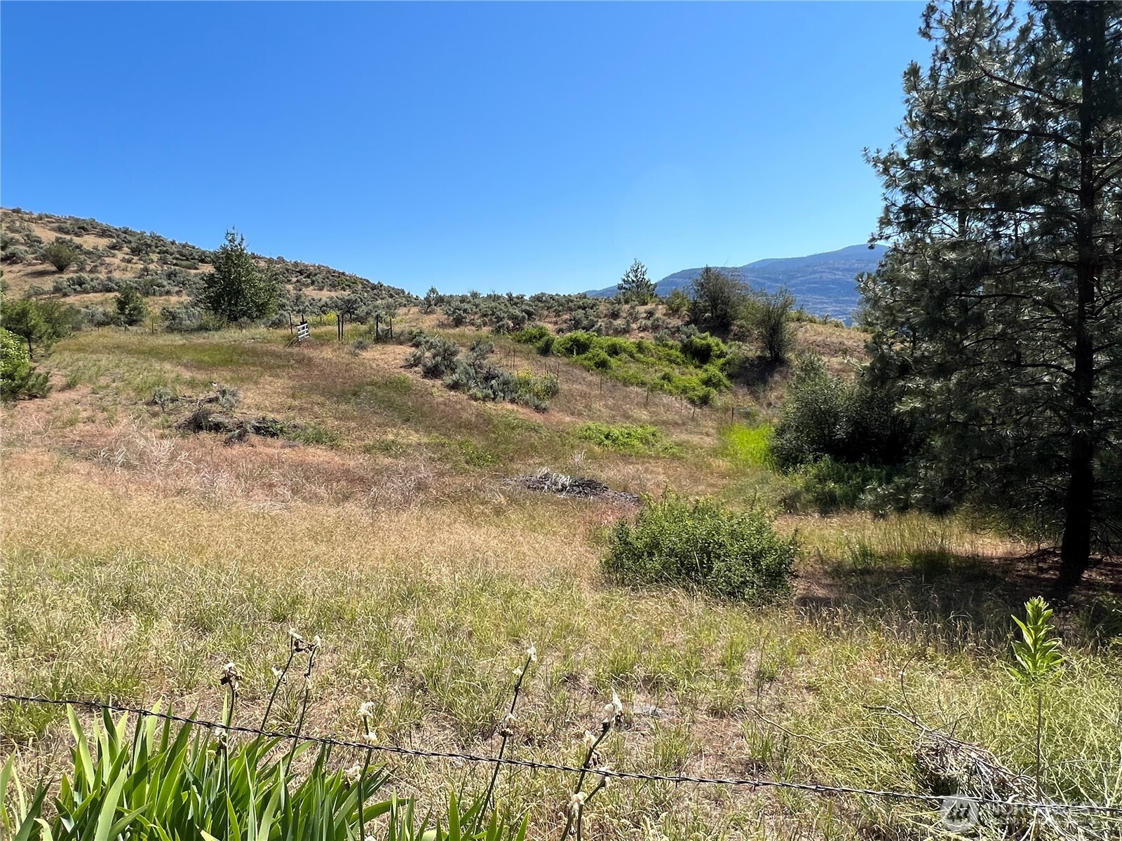 113 Eagles Bluff Road