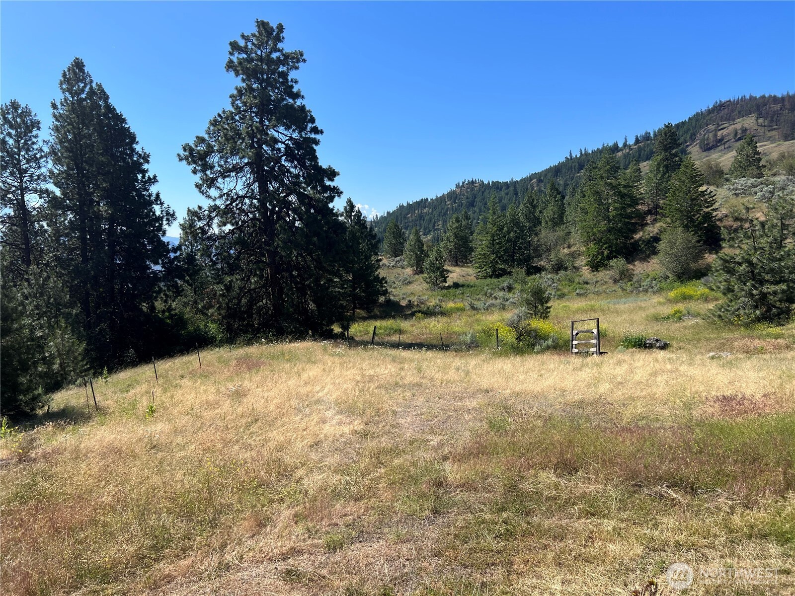 113 Eagles Bluff Road