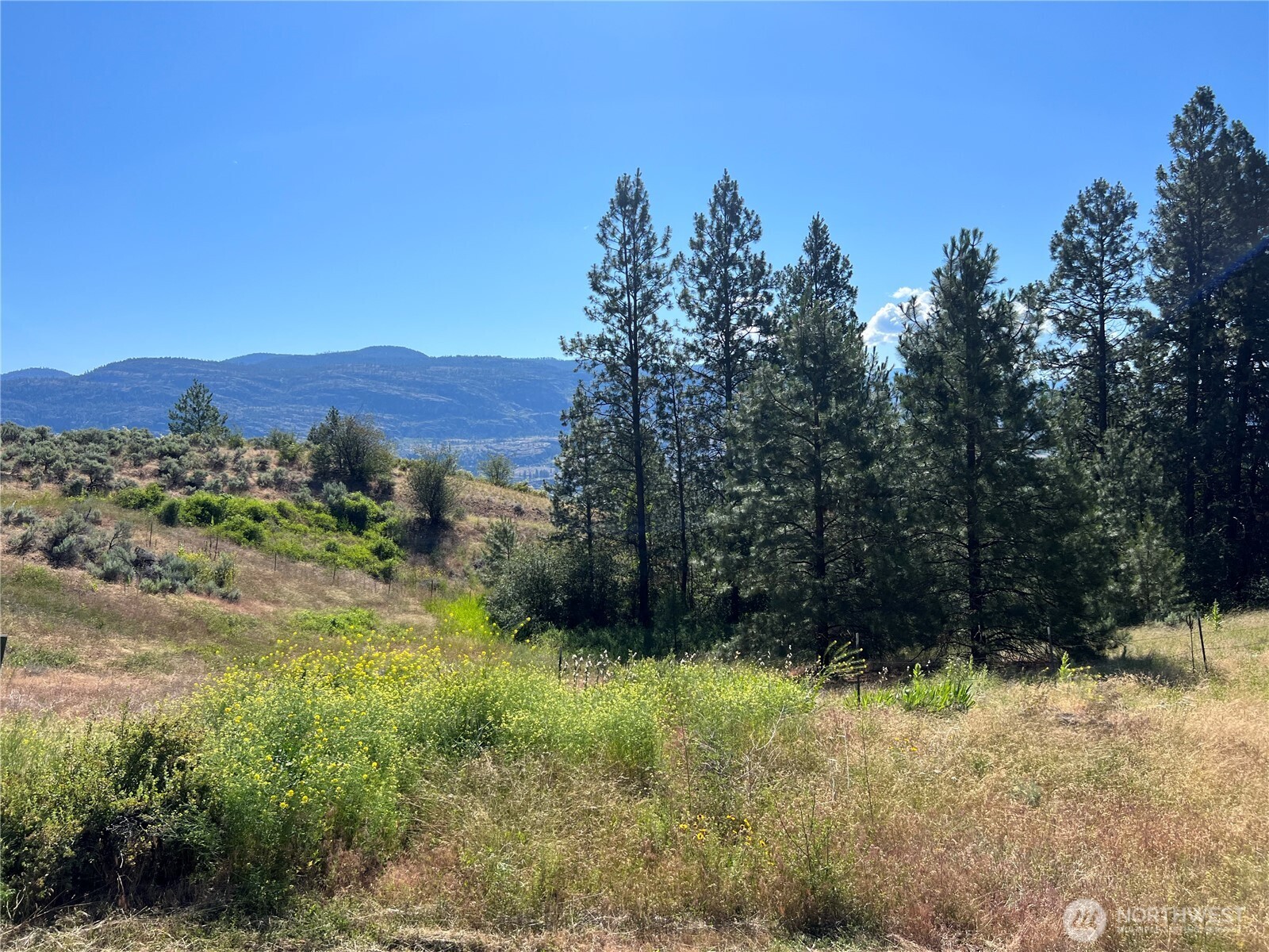 113 Eagles Bluff Road